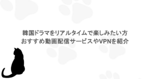 韓国ドラマをリアルタイムで楽しみたい方必見！おすすめ動画配信サービスやVPNを紹介